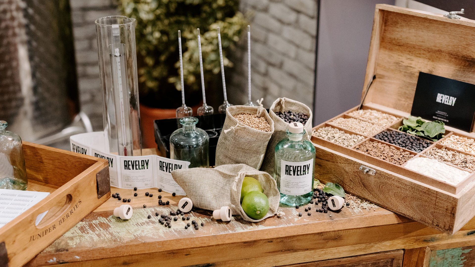 Revelry Spirits · frame 3